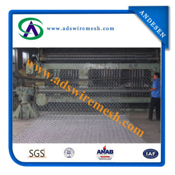 Malla galvanizada sumergida caliente de Gabion 2X1X1m (ADS-GM-01)